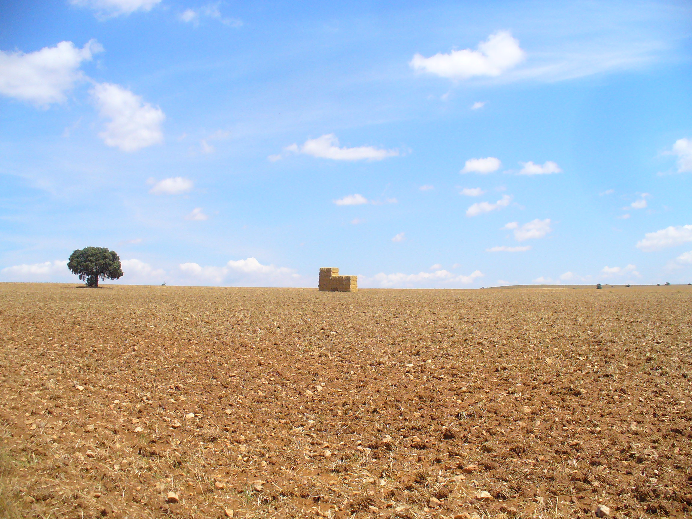 El Pico de la Duena y Salamanca (F.Moulard)